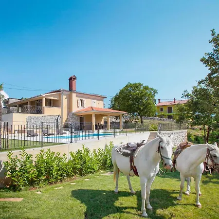 Holiday home Palachina Antishova By Interhome Plomin
